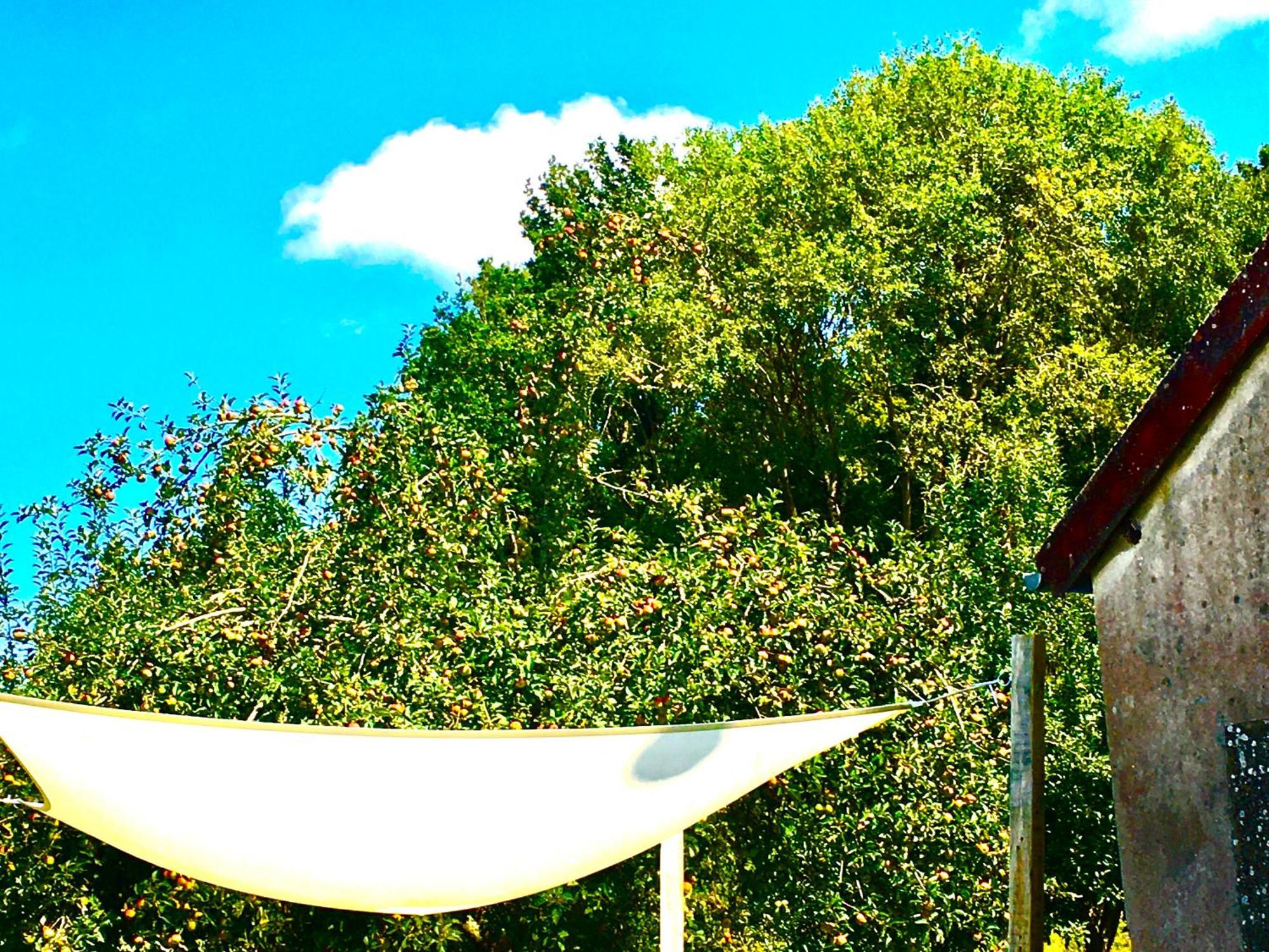 La Mirabelle Bed & Breakfast Saint-Pierre-de-Fursac Ngoại thất bức ảnh